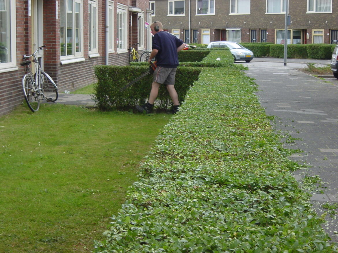 Tuinonderhoud 2